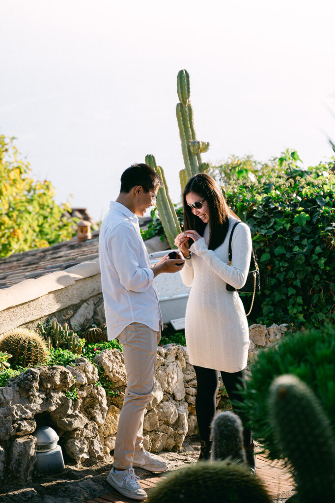 Proposal in the old street and Garden of Eze