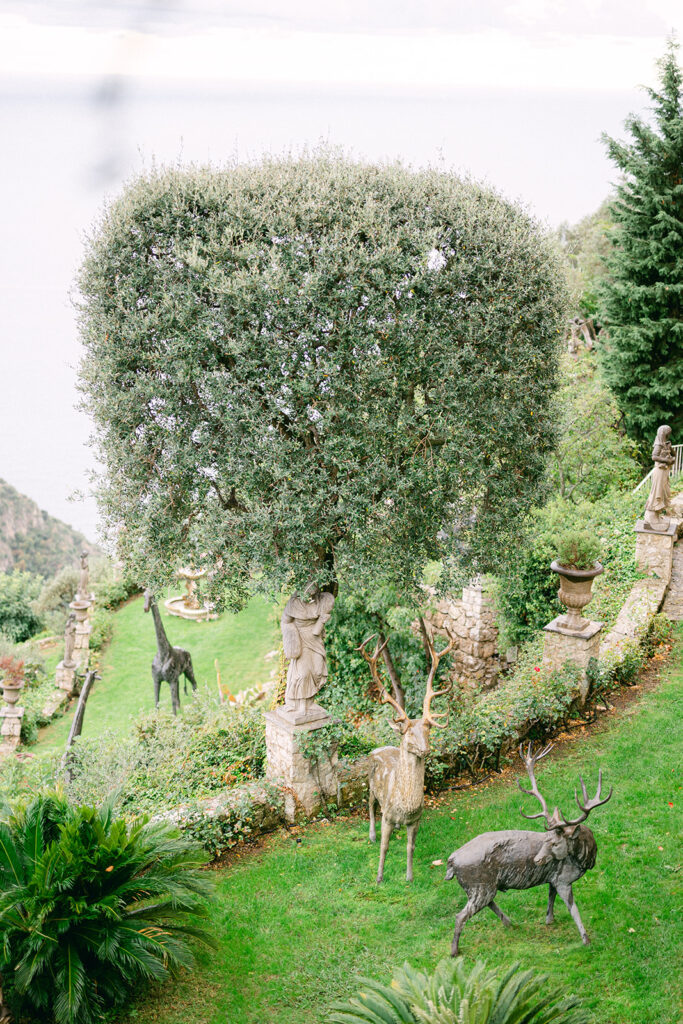 Engagement photo session in Eze with panoramic Mediterranean views