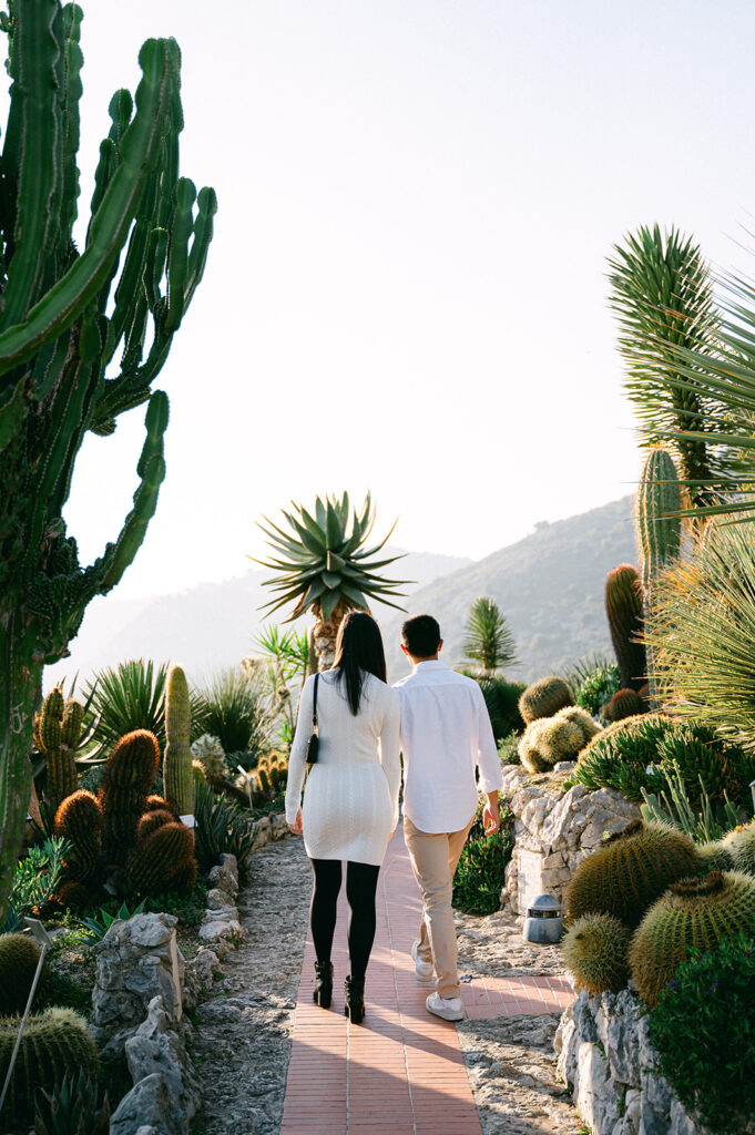 Proposal in the old street and Garden of Eze
