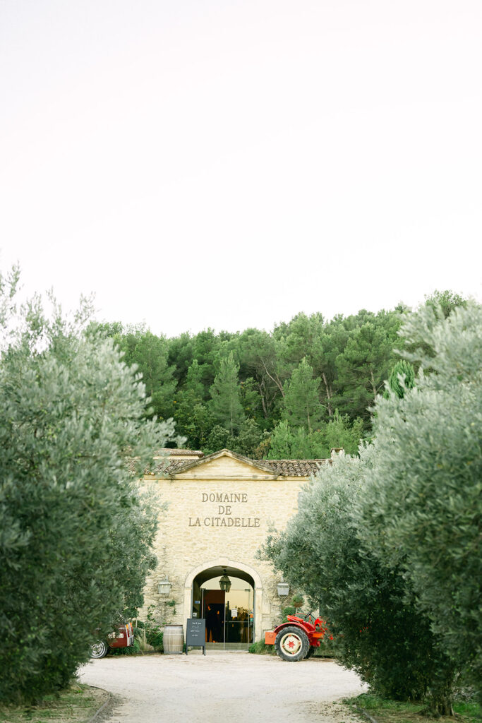 ntimate welcome dinner in a vineyard estate near Gordes, Provence