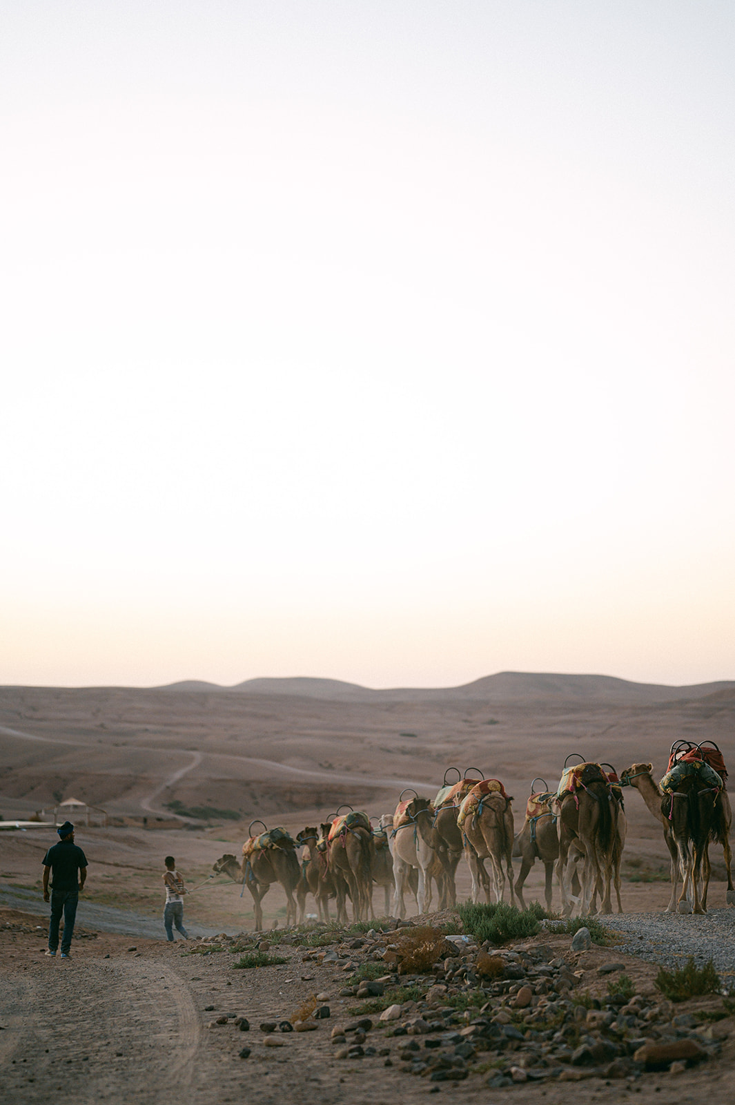 0126 Christophe Serrano Morrocco Wedding Z6A 6270 0126 websize 2